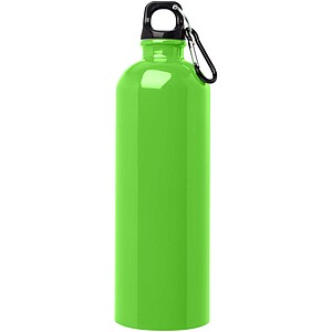 Oregon 750 ml RCS certified single wall stainless steel water bottle with carabiner, apple green