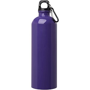 Oregon 750 ml RCS certified single wall stainless steel water bottle with carabiner, purple