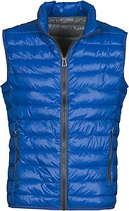 Payper Casual royal XXXL