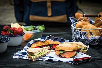 Picknic backpack for 4 persons