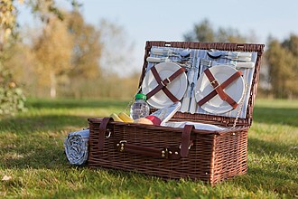 Picnic basket 