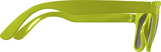 Plastic classic sunglasses