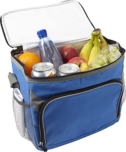 Polyester (600D) rectangular cooler bag