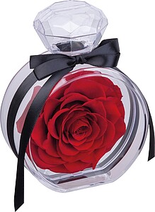 Preserved rose, red