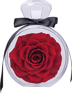 Preserved rose, red