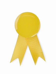 Ribbon style badge pin