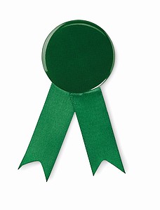 Ribbon style badge pin