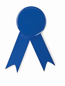 Ribbon style badge pin