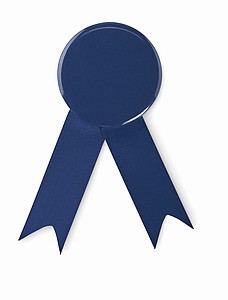 Ribbon style badge pin