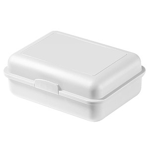 School box with compartment
