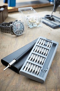 Screwdriver kit BIT PRECISION