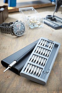 Screwdriver kit BIT PRECISION