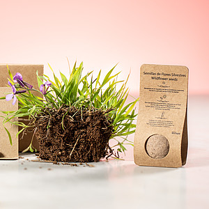 seed ball
