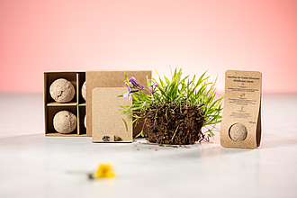 seed ball