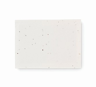 Seed paper memo pad