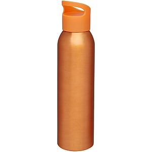 Sky 650 ml sport bottle