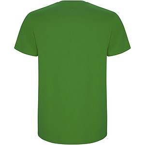 Stafford short sleeve kids t-shirt