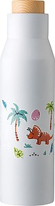 Stainless steel double walled bottle Christian