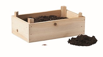 Strawberry kit in wooden crate