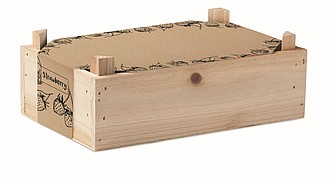 Strawberry kit in wooden crate