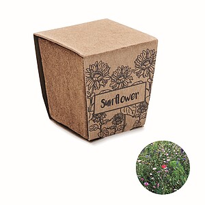 Sunflower growing kit, beige