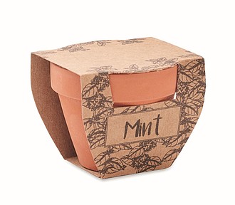 Terracotta pot mint seeds