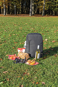 Tierra cooler backpack