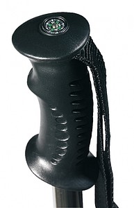 Trekking sticks 