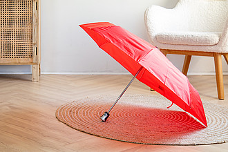 umbrella