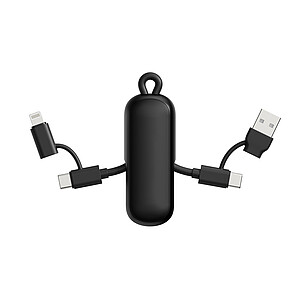 Urban Vitamin Dublin 100W 4 -in-1 keychain cable