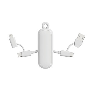 Urban Vitamin Dublin 100W 4 -in-1 keychain cable