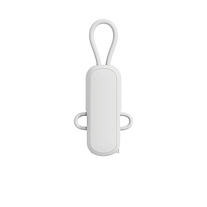Urban Vitamin Dublin 100W 4 -in-1 keychain cable