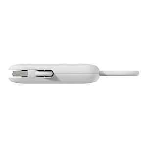 Urban Vitamin Dublin 100W 4 -in-1 keychain cable
