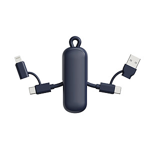 Urban Vitamin Dublin 100W 4 -in-1 keychain cable