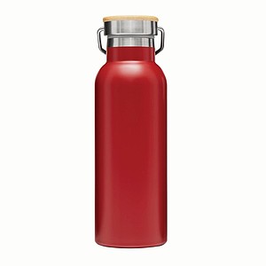 Vacuum bottle 