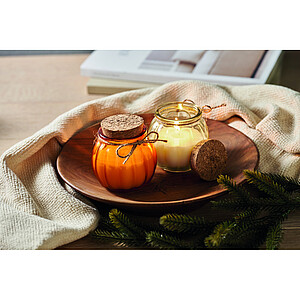 Vanilla plant based wax candle