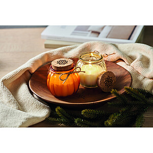 Vanilla plant based wax candle
