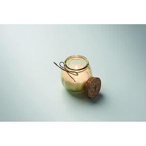 Vanilla plant based wax candle