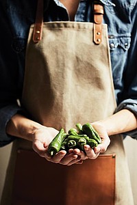 VINGA Asado Apron