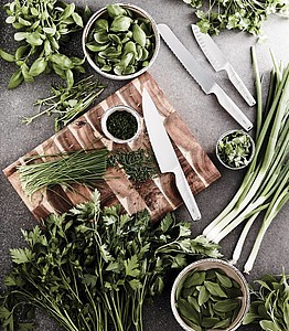 VINGA Hattasan santoku knife