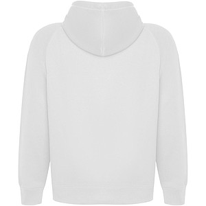 Vinson unisex hoodie