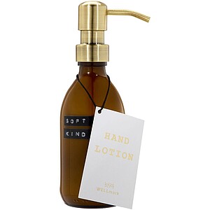 Wellmark Soft Hands 250 ml hand lotion dispenser