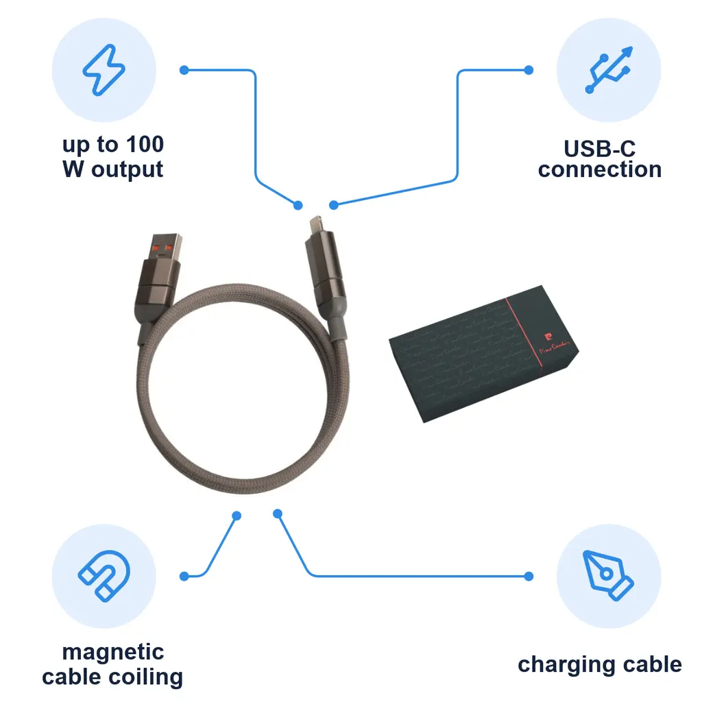 Infographic: PIERRE CARDIN DONNES Magnetic charging cable, grey