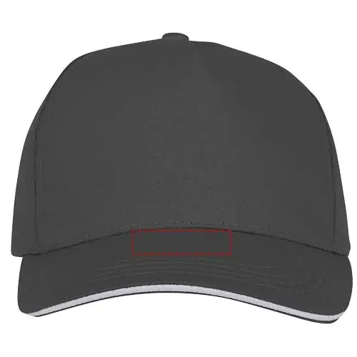 Print position: visor