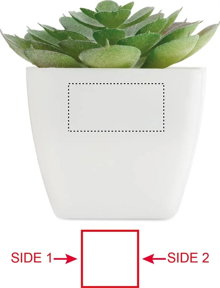 Print position: Side - 2