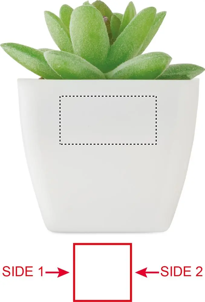 Print position: Side - 1