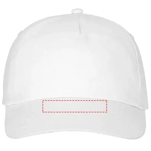 Print position: visor