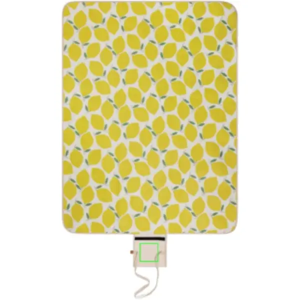 Print position: Flap