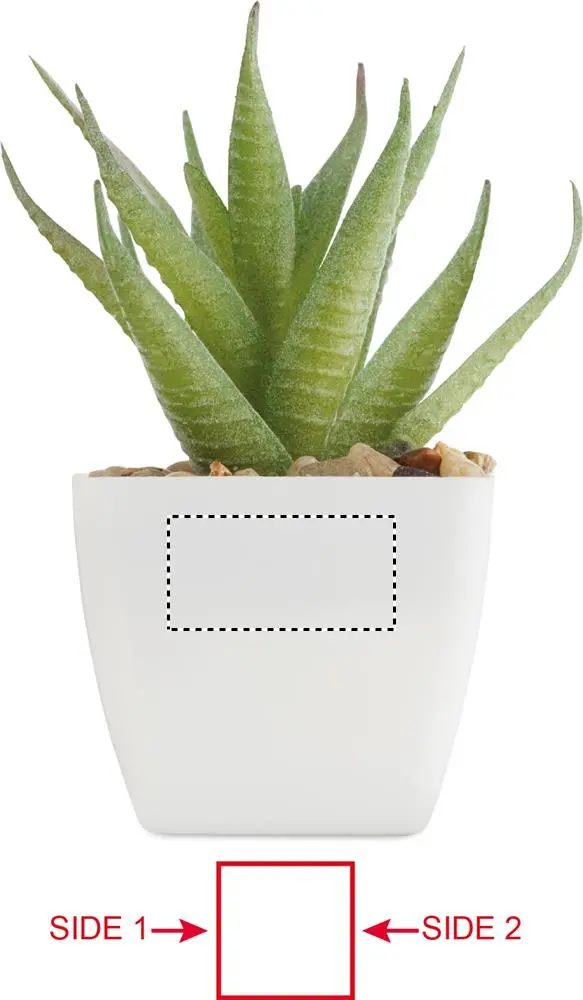 Print position: Side - 2