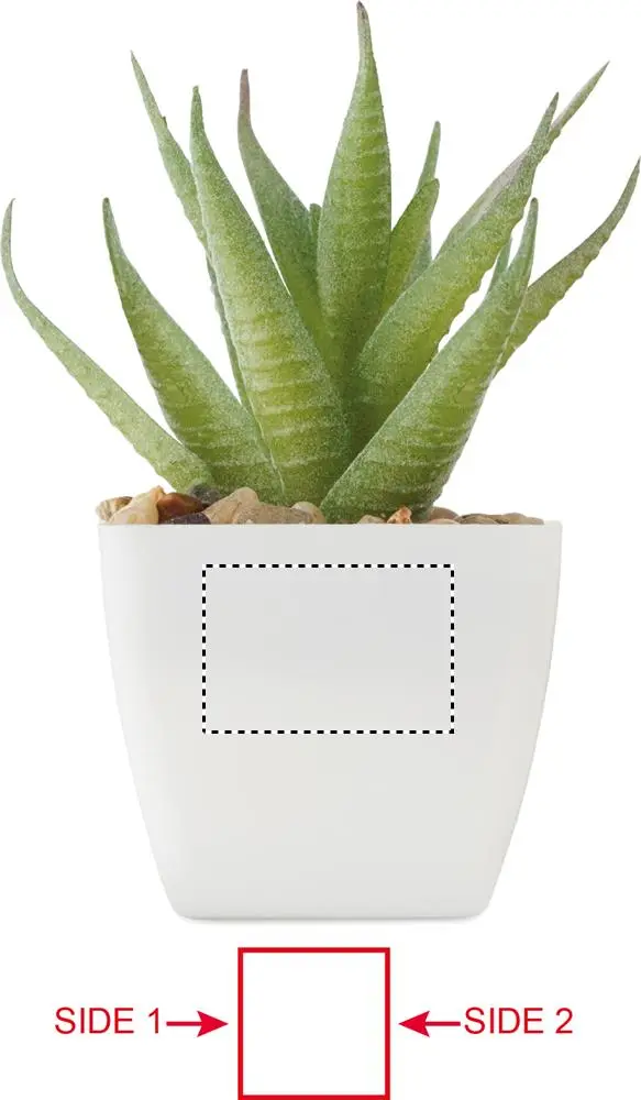 Print position: Side 1